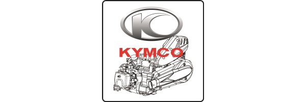 Motorteile PGO Kymco 250