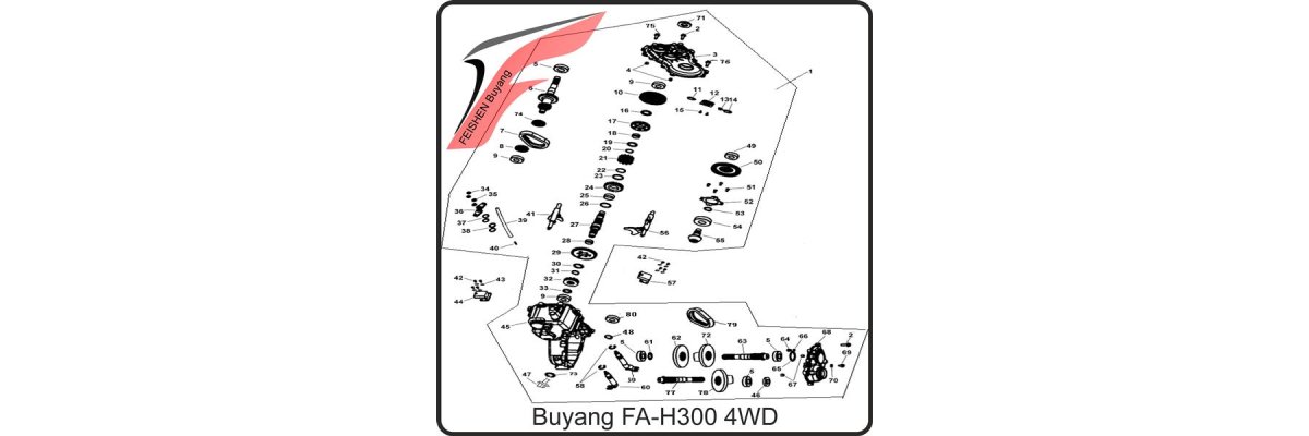 (F12) - Getriebe (4WD) - Buyang FA-H300