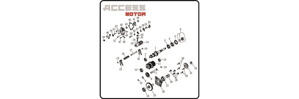 Getriebe - Access 650-850 Motor