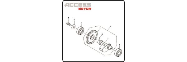 Ausgleichswelle - Access 450 TE Motor