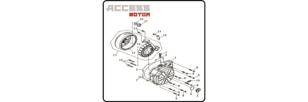 Lichtmaschine - Access 450 TE Motor