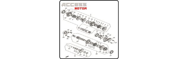 Getriebe - Access 450 TE Motor