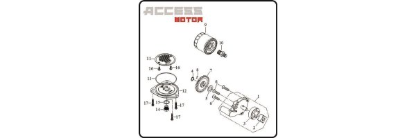 Ölpumpe - Access 450 TE Motor