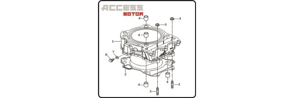 cilinder - Access 450 TE motor
