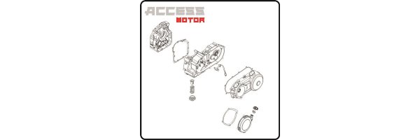 250, 300 & 400cc - Access Motor