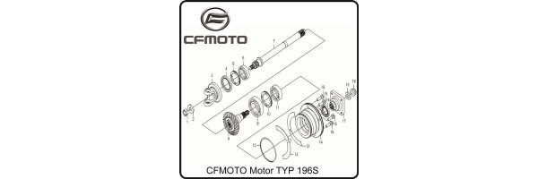 (E19) Getriebe II - CFMOTO TYP196