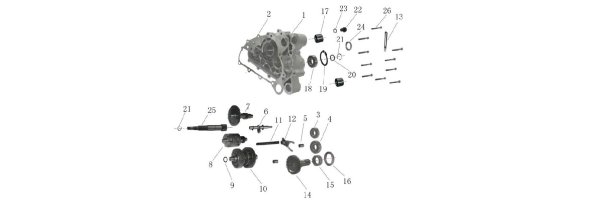 Fig. 11 Getriebe