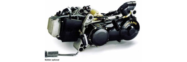200cc-Motor-JL-1P65QM-mit-integriertem-Rueckwaertsgang