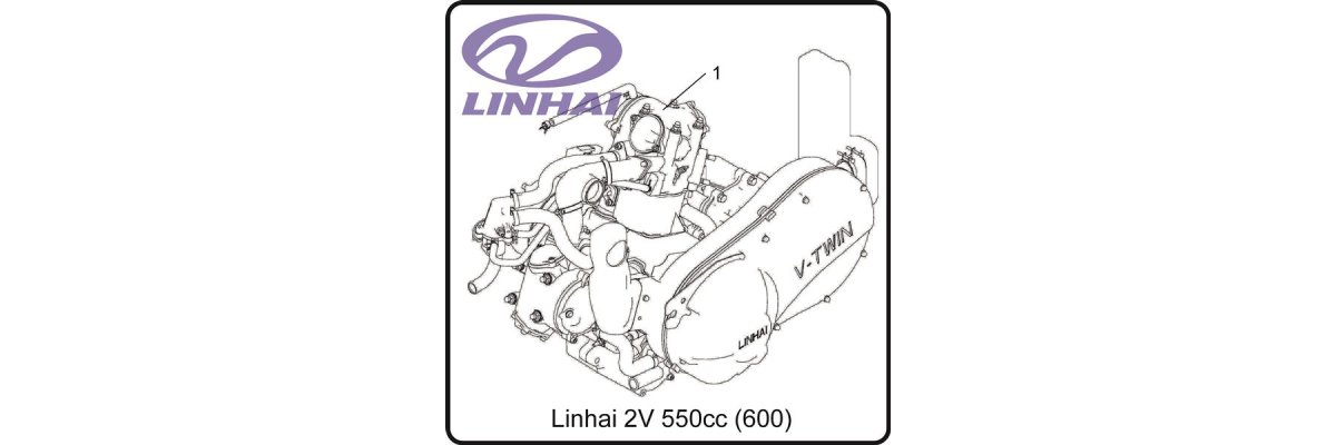Motor & Getriebe - Linhai ATV 520 - Hytrack HY550