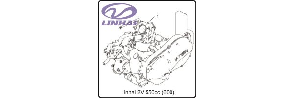Linhai 2V-520 (Vergaser) Motor