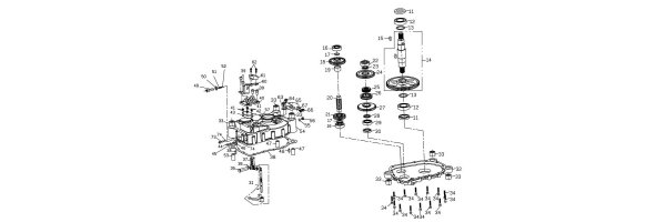 (F01-2) Rückwärtsganggetriebe (DUAL) - BR250-DS