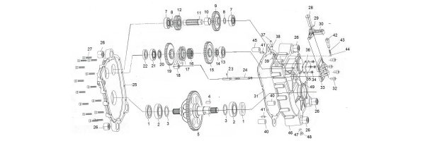 Fig 24 Rückwärtsganggetriebe mit Differential Imperator