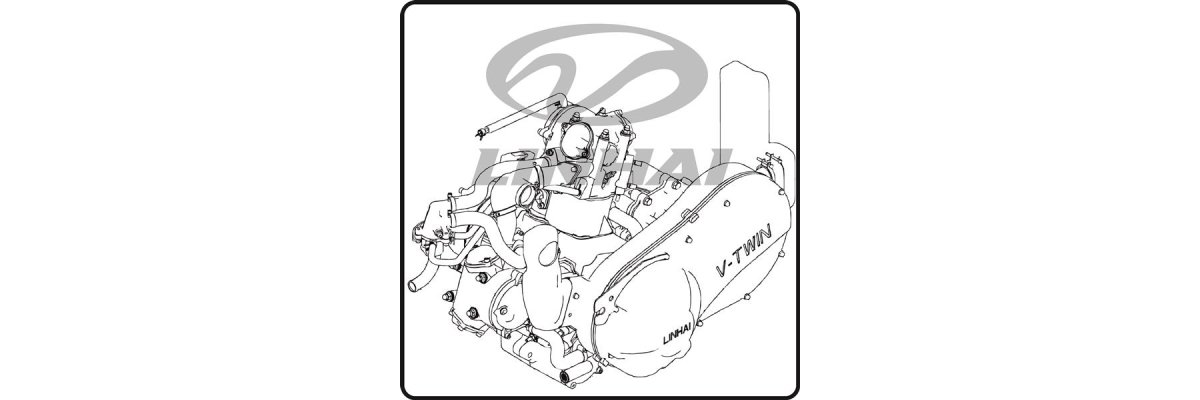 Motor & Getriebe - Linhai ATV ML550STL -...