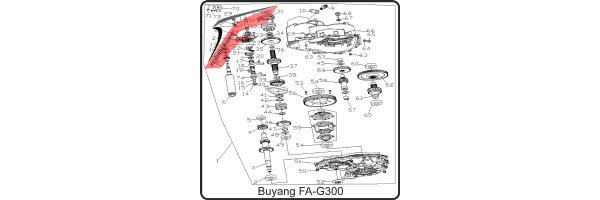 (F09) - Getriebe, Differential - Buyang FA-G300