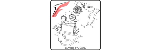 (F19) - Kühlsystem, Thermostat - Buyang FA-G300