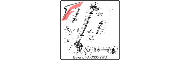 (F11) - Getriebe (2WD) - Buyang FA-D300