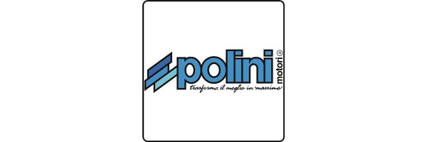 Polini