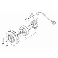 (4) - Lichtmaschine o. Polrad - Adly ATV 150...