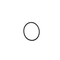 (17) - O-Ring 46,2x1,8 Gummidichtring (Stück) - CF172