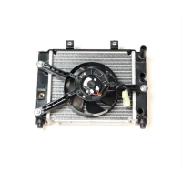 (1) - Radiator Assembly - Access AMS 430 EFI (4.30 EFI SM)