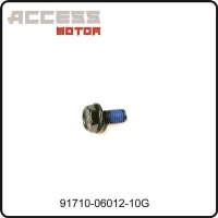 (31) - Hex Washer Face Bolt - Shade Xtreme 850 EPS DLX