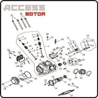 (41) - Dichtscheibe für Hohlschraube - Access Motor