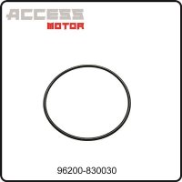 (22) - O-Ring 82x3 - Access Motor