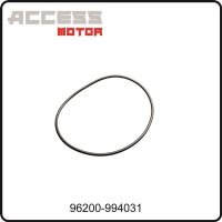 (25) - O-Ring 99x3 - Access Motor