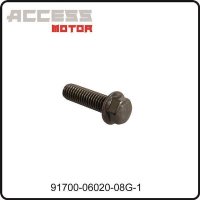 (24) - Bundschraube - Access Motor