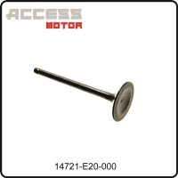 (9) - Ventil Auslass - Access Motor