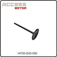 (8) - Ventil Einlass - Access Motor