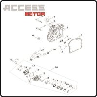 (10) - Wasserpumpe - Access Motor