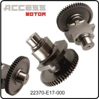 (14) - Ausgleichswelle - Access Motor