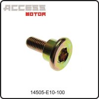 (18) - Schraube M8 m. Absatz - Access Motor