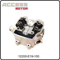 (1) - Zylinderkopf komplett - Access Motor