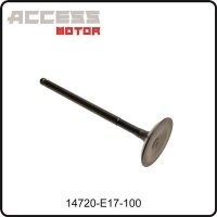 (10) - Ventil Einlass - Access Motor