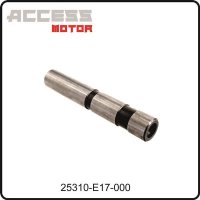 (22) - Kipphebelwelle Einlass - Access Motor