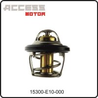 (27) - Thermostat - Access Motor