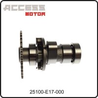 (14) - Nockenwelle - Access Motor