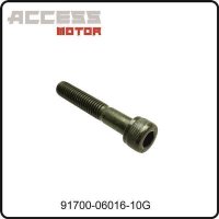 (45) - Innensechskantschraube M6x16 - Access Motor