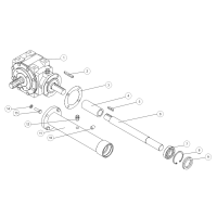 18. SPRING - GEO DPS (2011-2013)