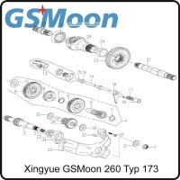 (5) - Vorgelegewelle 6/11 Zähne - (TYP.170MM) Xingyue GSMoon 260