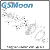 (60) - Dichtung Getriebegehäuse - (TYP.170MM) Xingyue GSMoon 260