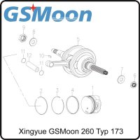 (6) - Mutter M14x1.0 - (TYP.170MM) Xingyue GSMoon 260