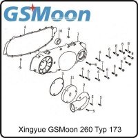 (4) - Seitendeckeldichtung links - (TYP.170MM) Xingyue GSMoon 260
