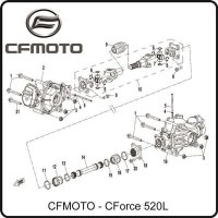 (19) - Differentialgetriebe hinten - CFMOTO CForce 520L