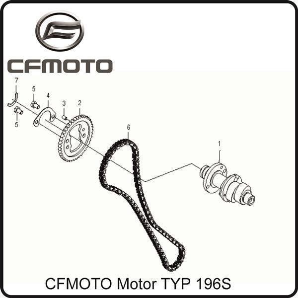 (6) - Steuerkette Motor - CFMOTO Motor TYP 196