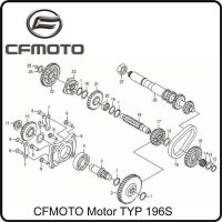 (3) - Getriebeausgangswelle - CFMOTO Motor TYP 196