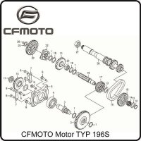 (14) - Nadellager - CFMOTO Motor TYP 196