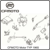 (4) - Lambdasonde Steckergehäuse 1x4 - CFMOTO Motor...